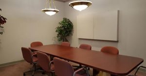 Albany NY court reporters conference room